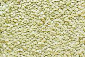 Ковролин AW Masquerade Narcisse 21 фото  | FLOORDEALER